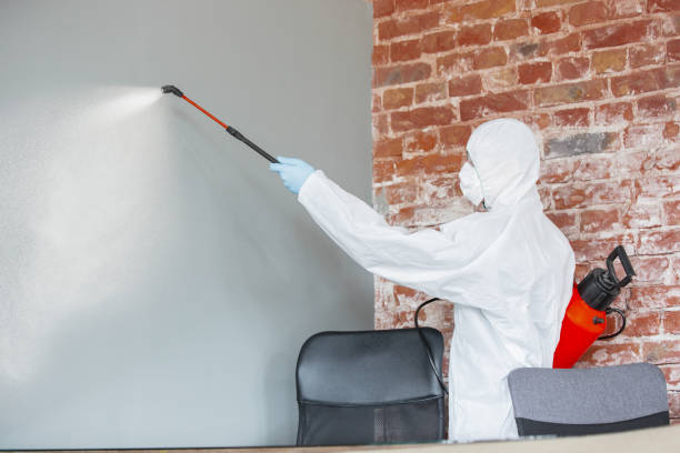 Best Mold Prevention Services  in Southgate, KY