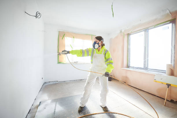 Best Black Mold Removal  in Southgate, KY