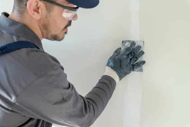 Biohazard Mold Removal in Southgate, KY