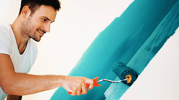 Professional Mold Removal in Southgate, KY