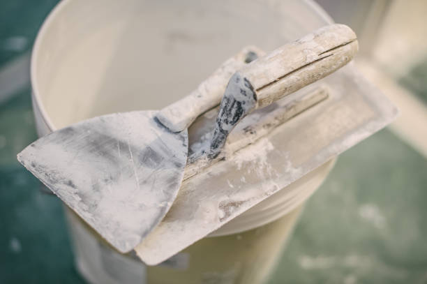 Best Biohazard Mold Removal  in Southgate, KY
